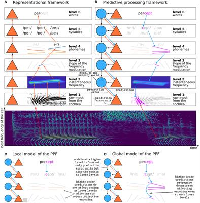 Adjudicating Between Local and Global Architectures of Predictive Processing in the Subcortical Auditory Pathway